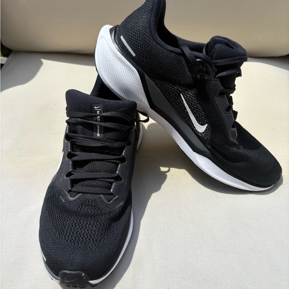 Nike Pegasus 41 9.5